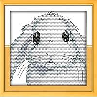 Amazon | OWN4B クロスステッチ刺繍キット図案印刷、11ct