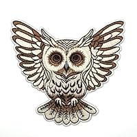 3.5\" Owl Iron On Patch - Embroidered Vintage Bird Cool Aesthetic Owl Applique Appliques Iron On Sew On Patches for Holes, Clothing, Jeans, Hat, Backpacks, Clothes, Girls