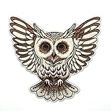 Embroidered Owl Iron On Patch – Symbolic Night Bird Patch for Jackets, Backpacks, Jeans, Hats