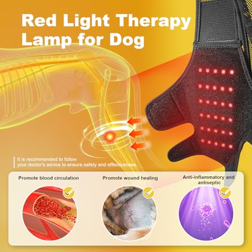 Image of Dog Acl Brace Hind Leg - Red Light Therapy for Dogs Professional Edition Dog Knee Brace for Torn Acl Hind Leg Accelerated Wound Healing Suitable for Mini Dogs (37-72Lb)(Black)(L)