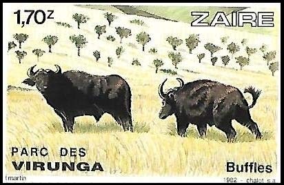 Aranyak Hobby® Africa Buffalos of Virunga National Park ~ Single (2 Different Buffalos in a Stamps) World Stamps 1982 from Republic of Zaira Central Africa