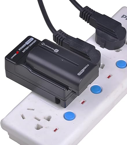 Miniatura 7 de Paquete de 2 baterías NP-F550NP-F570 y cargador rápido para Sony NP-F330 NP-F530 NP-F570 NP-F730 NP-F750 Hi-8 GV-D200 D800 TRV81 CCD-SC55 CCD-TRV81