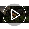 Fairy Garden Accessories Lawn Ornaments 1 Pair - Solar Lights Halloween Decorations Outdoor Garden Statue, Metal Stakes Decorative Figurines for Yard Decor, Patio (Type A Warm Lighting)
