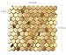 Blujellyfish Hexagon Gold Backsplash Tiles Metal Mosaic Tile Stainless Steel Brushed/Shiny Kitchen Bathroom Backsplash Shower Floor Wall Accent Tiles (5 Square Feet)