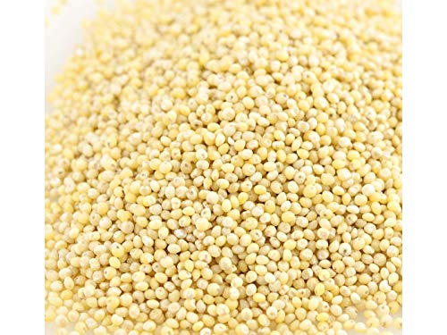 Organic Hulled Millet (14 oz) Gluten Free, Raw & Grown in USA, Kosher!