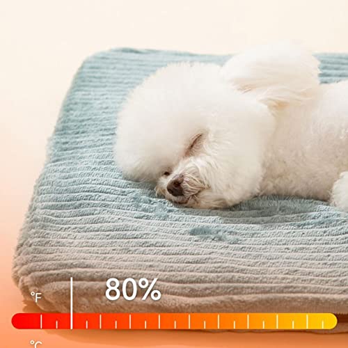 aquecimento para animais estimação | Almofada aquecimento anti-mordida para animais estimação com de