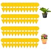 Fliegenfalle 24 Stück Fliegen Klebefalle Fliegenfalle Sticker Fliegenfänger Gelbsticker Mückenvernichter Insektenfänger Klebebrett für Garten Innenbereich Haus Pflanzen Insekten
