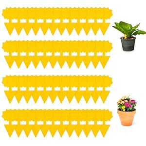 Fliegenfalle 24 Stück Fliegen Klebefalle Fliegenfalle Sticker Fliegenfänger Gelbsticker Mückenvernichter Insektenfänger Klebebrett für Garten Innenbereich Haus Pflanzen Insekten