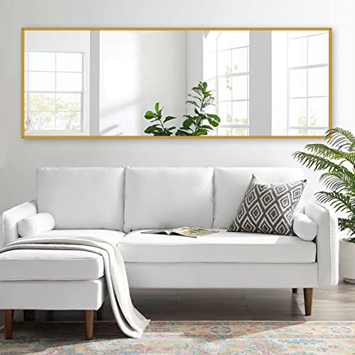 Neutype Full Length Mirror Standing Hanging Or Leaning Against Wall, Large Rectangle Bedroom Mirror Floor Mirror Dressing Mirror Wall-Mounted Mirror, Aluminum Alloy Thin Frame, 65"X22" #TOP2