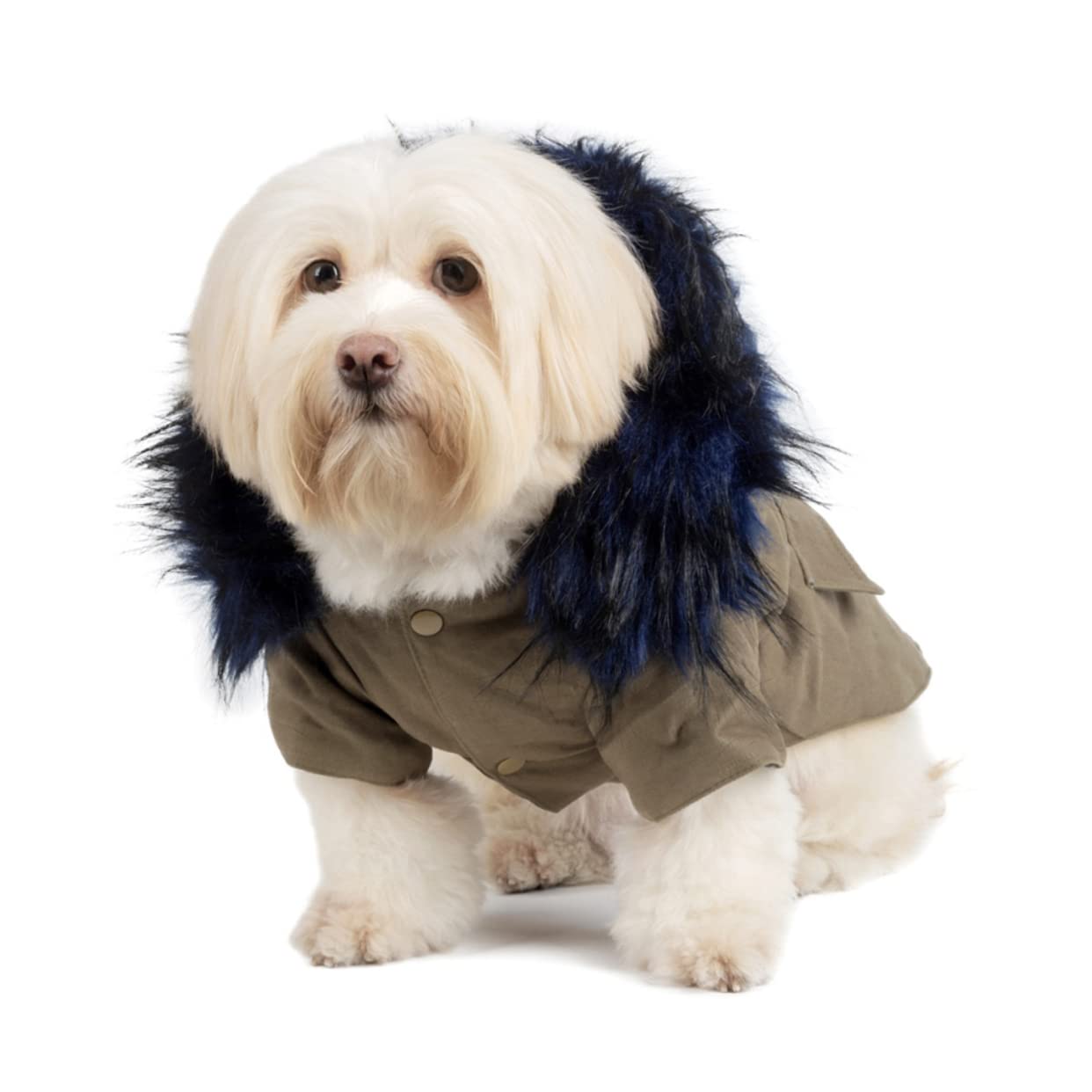 Didiseaon Felpe per Cani Calde in Cotone Cappuccio Costume Invernale per Animali Domestici Vestiti per Cuccioli Cappotto per Cani da Compagnia