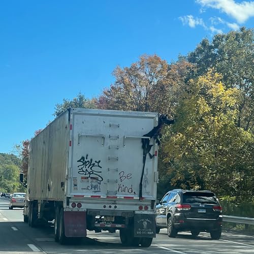 This isn&rsquo;t the end its just the pause cover art