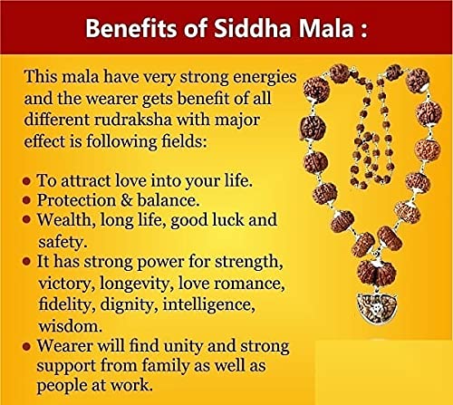 Sarva Sidha Rudraksha Mala 1 Mukhi to 14 Mukhi Rudraksha with Gouri Shanker & Ganesh Rudraksha 1