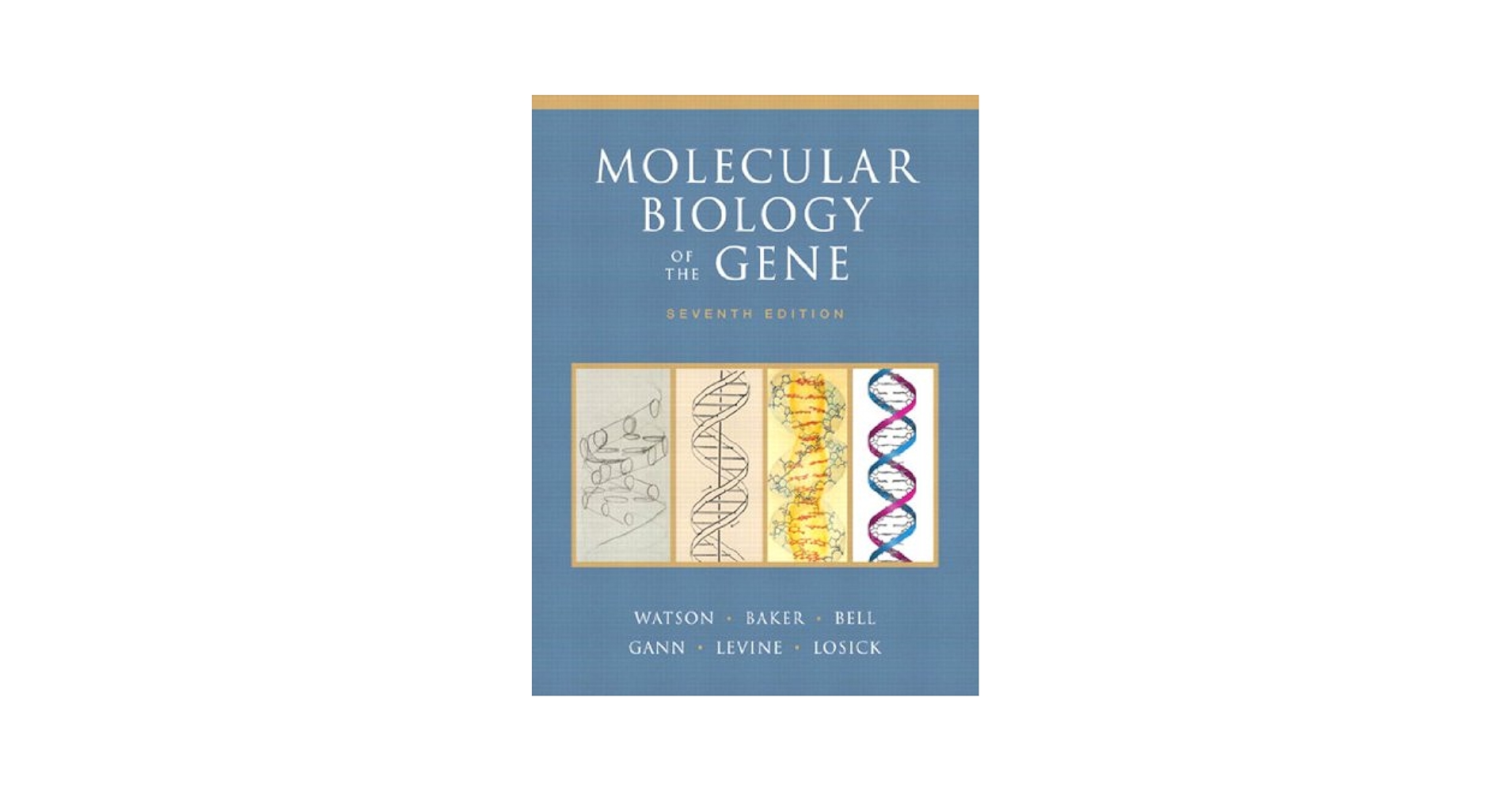 Molecular Biology of the Gene (第7版) Molecular Biology of the Gene (第7版) Molecular Biology Of