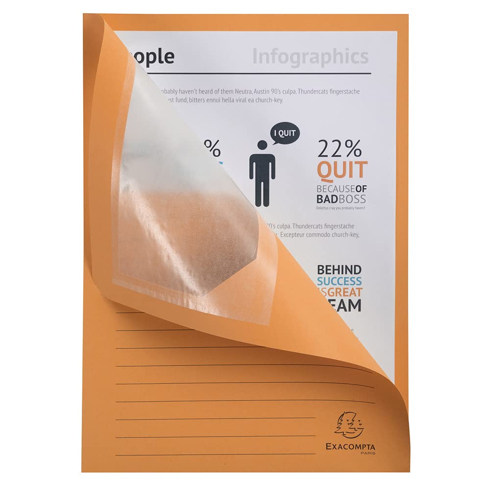 Exacompta - Réf. 50100E - Paquet de 100 chemises à fenêtre sans plastique Forever® 120 g/m² - couleurs vives - 100% recyclées et certifiées Ange Bleu - dimensions 22x31cm pour A4-10 couleurs assorties