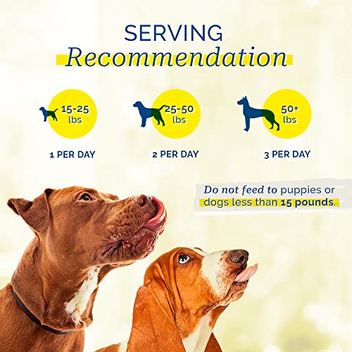 PCI Pet Center Inc. Quackers Raw Dehydrated Duck Breast Dog Treats, 1 Pound Container - Image 6