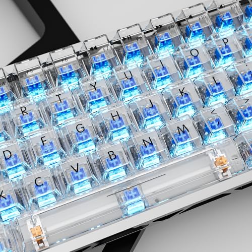 Image of Outemu 20 Pcs Clickers for 3D Prints,Crystal Blue Keyboard Switches | Crisp click sound,Pre-lubed,Dustproof,3-pin Blue Switch,Suitable Replacement Part for 3D Printed Clicker Fidget Spinners