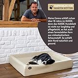 SABRO KUDDE Orthopädisches Hundebett – Martin Rütter – Hochwertiges Kunstleder – Waschbar & Wasserabweisend – Ergonomisch – Premium Haustierzubehör für Kleine, Mittelgrosse Hunde M in Grau