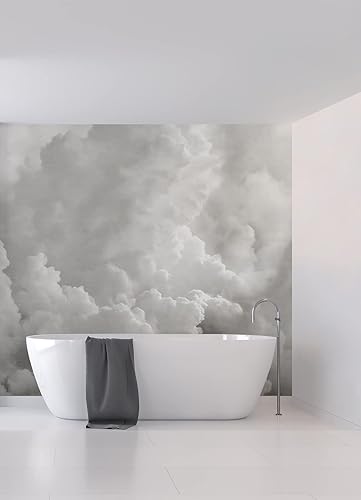 Miniatura 9 de REMIX Walls by Katie Hunt Mural de pared gris paloma en las nubes