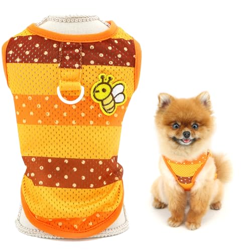 SMALLLEE_LUCKY_STORE   ̕ t  t Vc N[bV ^Ngbv ^ ^ {[_[ DOt xXg Vc Ȃ hbOVc p ybg q ` gCv[h L ʋC E