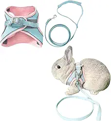 Peitoral e coleira de coelho ajustável à prova de fuga para caminhada, corrida, acampamento, ao ar livre, conjunto de coleira para animais pequenos (pequeno)