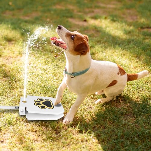 Fuente de agua manual para perros y gatos miniatura 7