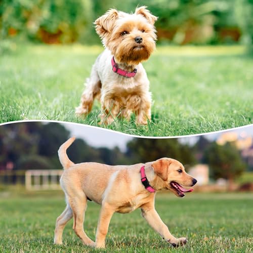 Image of Reflective Dog Collar, Adjustable Nylon for Small Dogs, Hot Pink