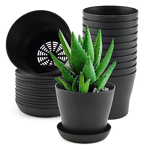 ZEONHAK 12 Pack 10cm Round Small Plant Pot with Saucer