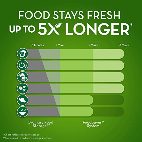 FoodSaver FM5200 vs FM5480: Review & Full Comparison