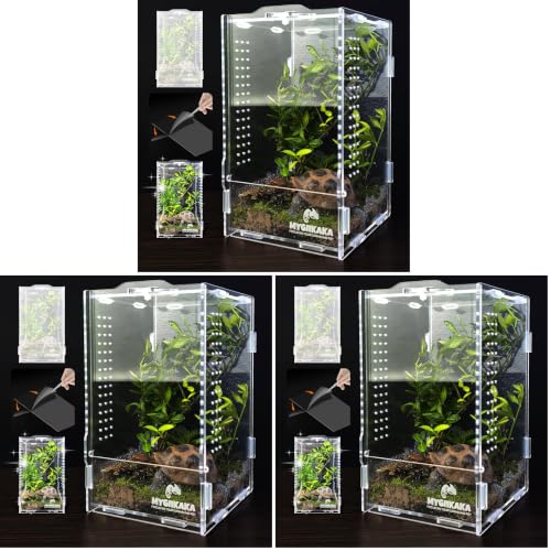 Image of Acrylic Jumping Spider Habitat, Insect Terrarium, Bug Enclosure, Praying Mantis Habitat, Frog Enclosure (Pack of 3)