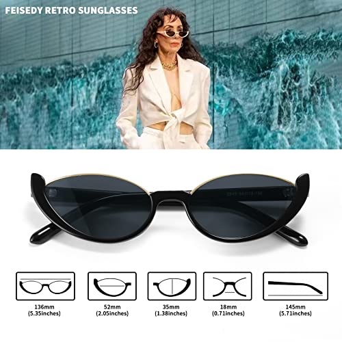 FEISEDY Fashion Small Cat Eye Sunglasses for Women Retro Trendy Cool Sun Glasses B28644