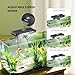 PAIZOO Aquarium Chiller Fan, Fish Tank Cooling Fans Aquarium Cooler with Temperature Probe & LCD Display, Auto Temperature Control & 3 Speed Modes Axolotl Cooler, 6.4W