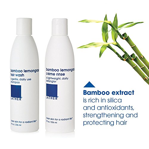 Lather 1037 Bamboo Lemongrass Shampoo & Conditioner Set - Gentle Daily Moisturizing Shampoo & Hair Detangler Conditioner thumb #3