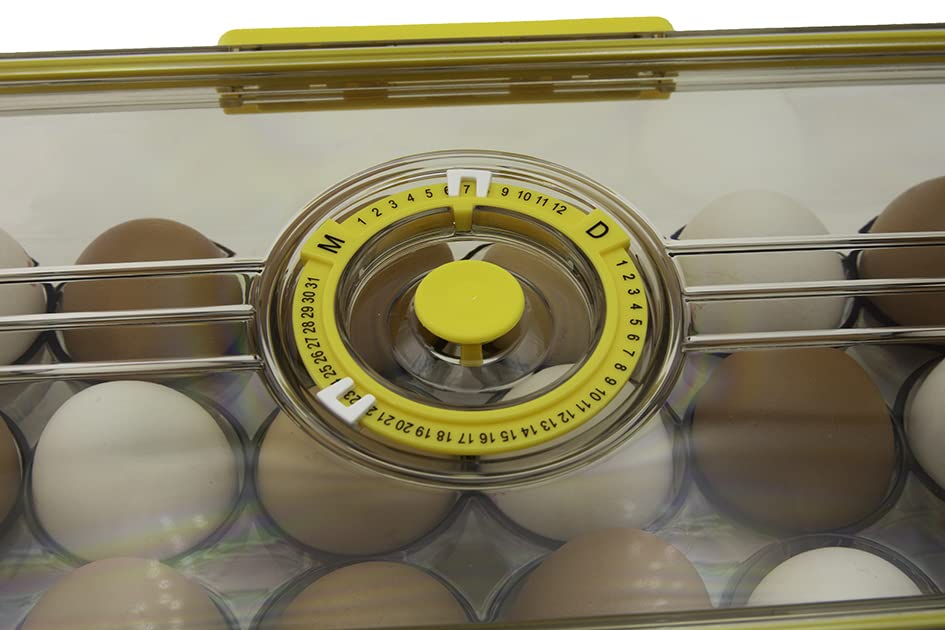 My Home Contenitore Per Uova Safe Egg, Capacità Fino A 18 Uova, Impilabile Con Timer Per Scadenza, Dimensioni 33x18x9 Cm