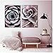 Produktbild Unbekannt Plakatkunst Sukkulente Blume Nordic Art Decor Poster und Drucke Wandbild für Wohnzimmer Wandkunst Leinwanddruck-50x70cm Kein Rahmen