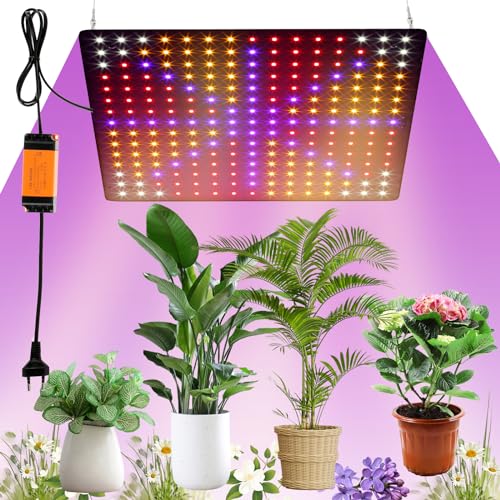 Toaboa Pflanzenlampe LED Vollspektrum 225 LEDs 1000W Pflanzenleuchte Hängend mit 4 Aufhängehaken Pflanzenlicht Anzucht Wachstumslampe LED Grow Light für Pflanzen Gemüse Blume (rot+blau+weiß+orange) Toaboa Pflanzenlampe LED Vollspektrum 225 LEDs 1000W Pflanzenleuchte Hängend mit 4 Aufhängehaken Pflanzenlicht Anzucht Wachstumslampe LED Grow Light für Pflanzen Gemüse Blume (rot+blau+weiß+orange)