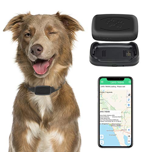 GPS Pet Tracker, Real-Time Cat Dog Locater & Activity Monitor, Cat Dog Tracking Device with Unlimited Range