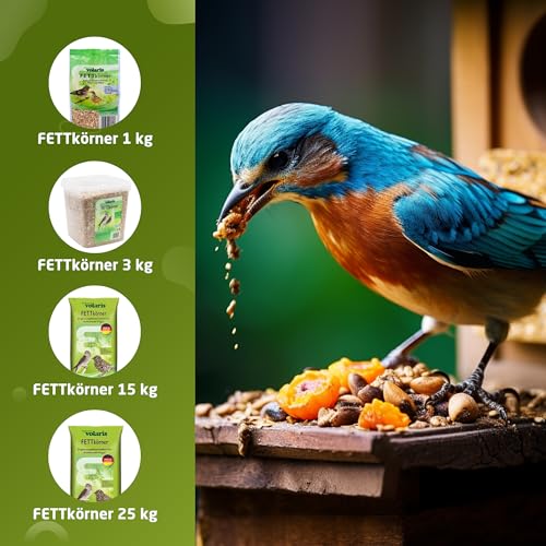 25 kg Fettkörner | Vogelfutter Wildvögel ganzjährig | Wildvogelfutter für das ganze Jahr | Fettreiches Streufutter für alle Vogelarten – Bild 6