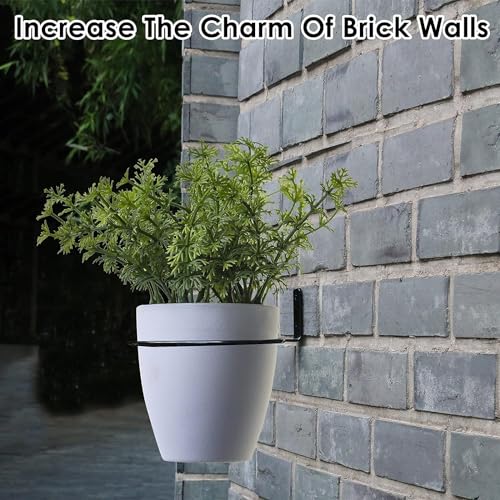 TORO Plant Holder Ring 8 Inch Wall Mounted, Flower Pot Hangers Metal Plant Stand Hanging Bracket Basket Hooks (Pack 06) (Black)