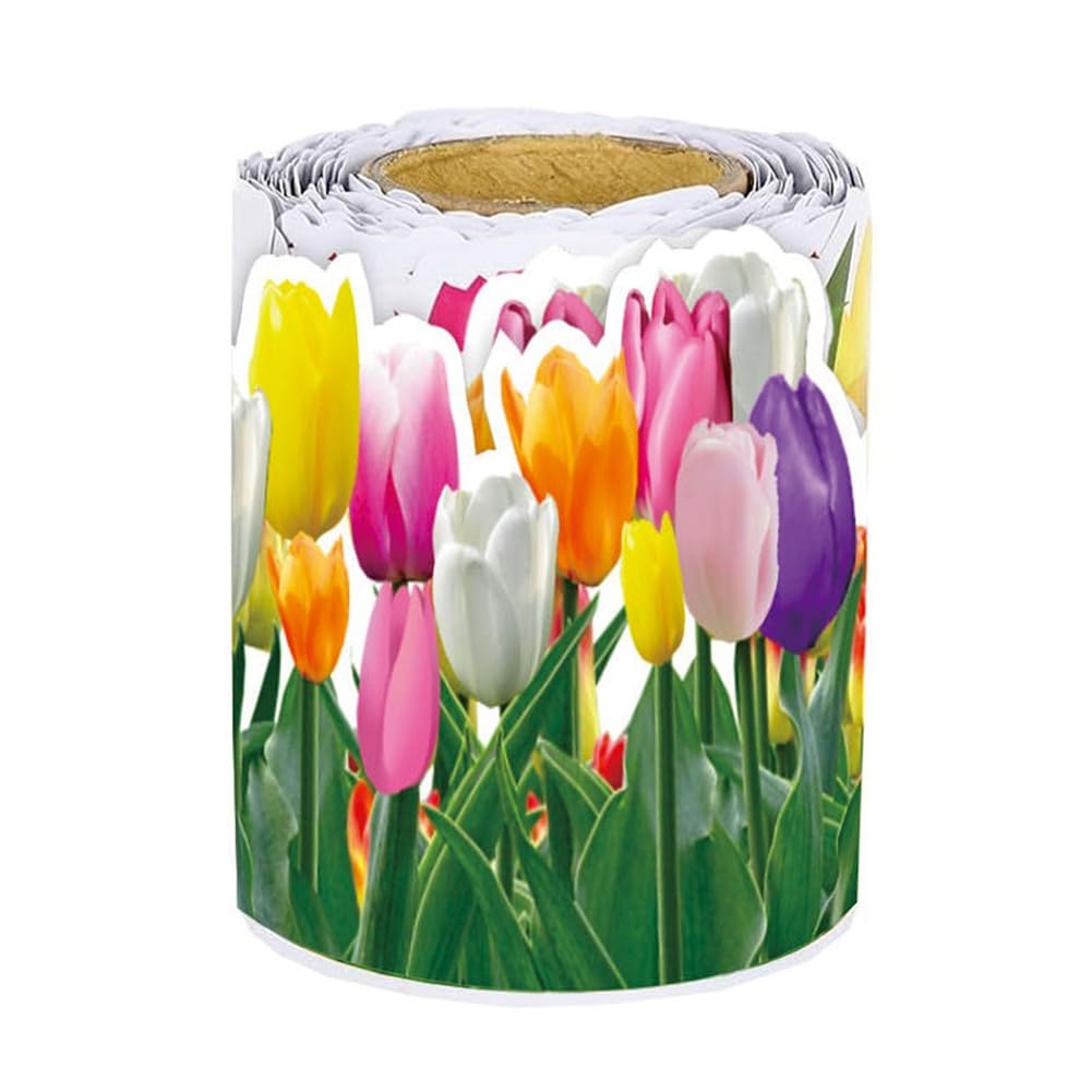 Bordo Per Bacheca Con Tulipani Colorati Primaverili – Decorazione Floreale Per Scuola, Classe E Feste – Rotolo Da 20 Metri X 7 Cm