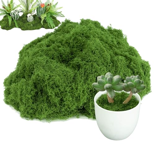 MirageBotanics Fake Moss for Plants Indoor Artificial Moss for Arts and Crafts Faux Grass for Potted Fairy Garden DIY Model Making Walls Glass Containers Home Decor Dark Green (100g(3.5oz))