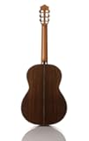 Cordoba C10 Parlor SP Acoustic Nylon String Parlor Size Guitar