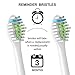 YanBan 8pcs Replacement Toothbrush Heads for Philips Electric Toothbrush Heads, Compatible with DiamondClean, FlexCare,HealthyWhite, EasyClean, HydroClean, PowerUp