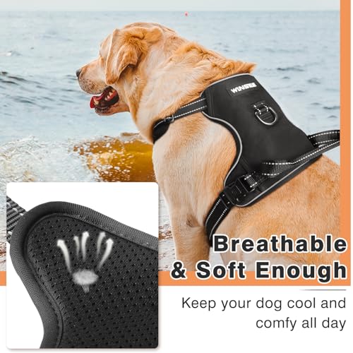 Winsee Dog Harness No Pull, Adjustable Pet Vest With Front/Back Leash Clips thumb #7