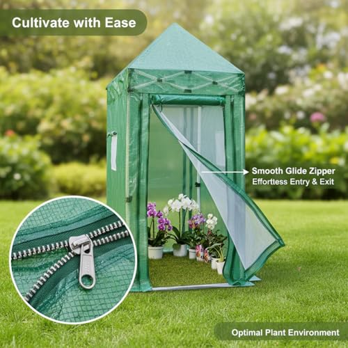 Image of Solayis Pop Up Greenhouse, 6x4 ft Portable Walk in Greenhouse