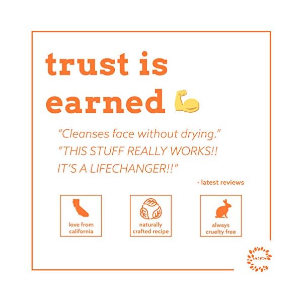 Eve-Hansen-Vitamin-C-Face-Wash-HUGE-8-oz-Anti-Aging-Skin-Cleanser-for-Dark-Circles-Age-Spots-and-Fine-Lines-Blackhead-Remover-Hyperpigmentation-Treatment-Pore-Minimizer-Gel-Face-Cleanser Eve Hansen Vitamin C Cleanser Face Wash - Natural Face Soap with Aloe Vera, Vitamin E & Rosehip Oil - Refreshing, Gentle, Moisturizing, Cruelty-Free Skincare 8 oz