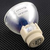 Lampada di ricambio per proiettore RLC-106 originale Lampadina P-VIP 330W per proiettori VIEWSONIC PRO9510L PRO9520WL PRO9530HDL PRO9800WUL VS16505 VS16506 VS16507 VS16508 (Size : Original)