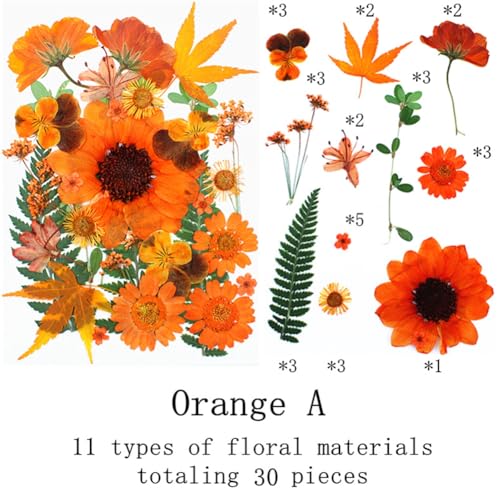 Flores prensadas naranjas secas Surakey 30 piezas miniatura 2