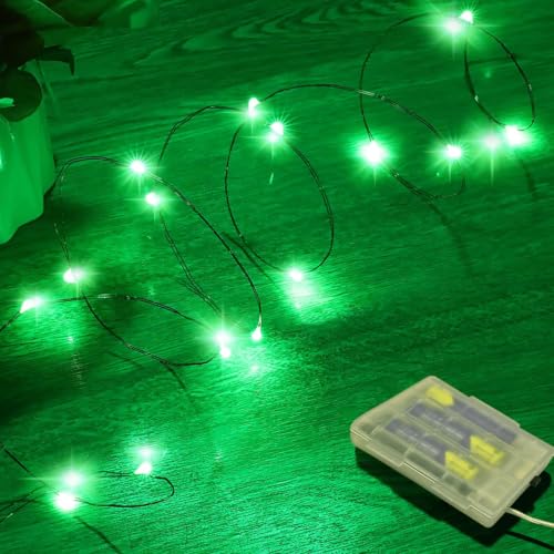 RUICHEN Mini guirlande fée 16 pi 50 LED vert