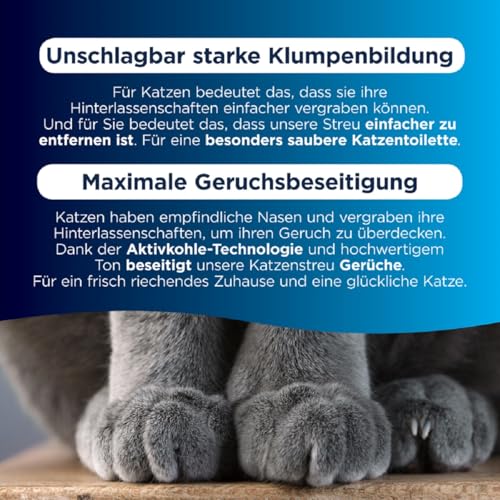 Ever Clean Extrastarkes klumpendes Katzenstreu, 10 Liter, duftstofffrei