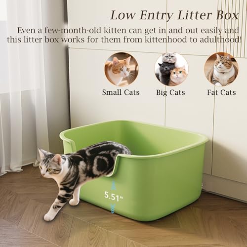 Arenero Grande para Gatos con Laterales Altos Verde miniatura 4